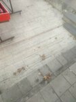 Marka Doner (Ankara Province, Mamak District, Tıp Fakültesi Cad., 60), fast food
