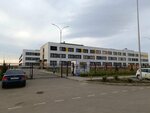 Средняя общеобразовательная школа № 29 (aul Novaya Adygeya, Bzhedugskaya ulitsa, 12), school