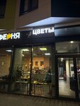Nebera Flowers (Green Park Residential Complex, 1), flower shop