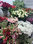 BeriBerry (Nikitina Street, 62), floristeria