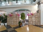 Beauty Zone (Vavilova Street, 66), eyebrow and eyelash salon