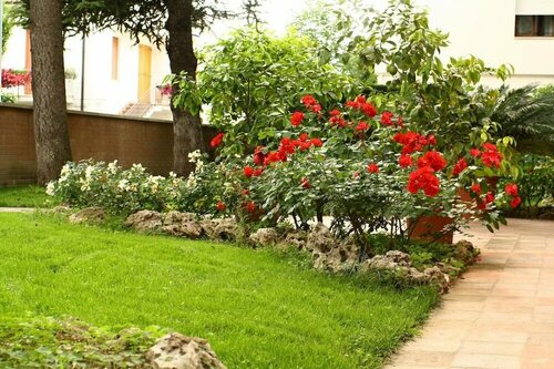 Внешний вид отеля B&b Igea 50 в Модене, фото 4