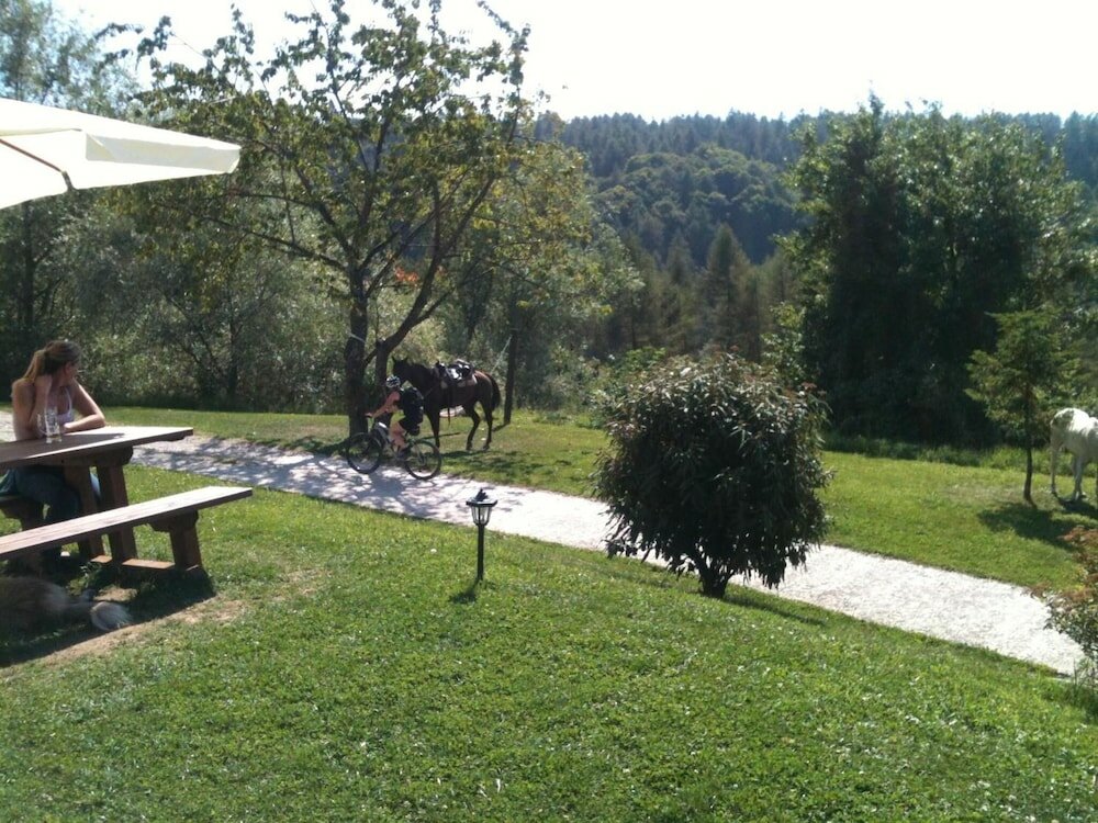 Фото Malga Zanga