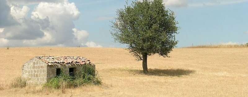 Гостиница Poggio Del Castagno