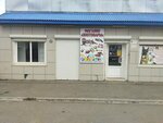 Зоотовары (Mikhailovsk, mikrorayon SNIISKh, 12), pet shop