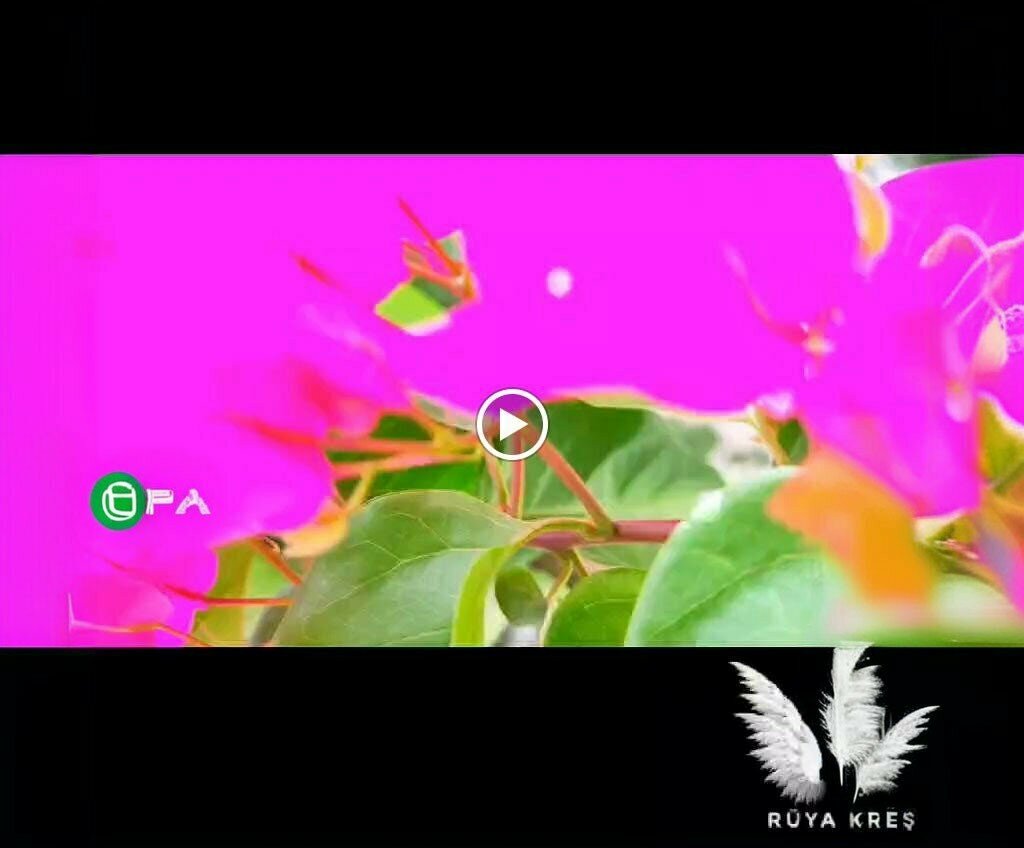 Educational center Rüya Nursery Osmaniye, Osmaniye, photo