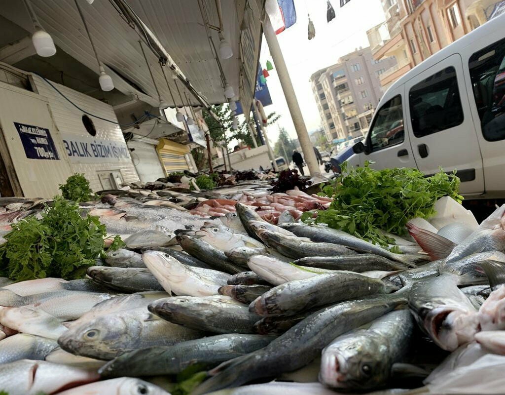 Fish and seafood Ugur Fishery, Sanliurfa, photo