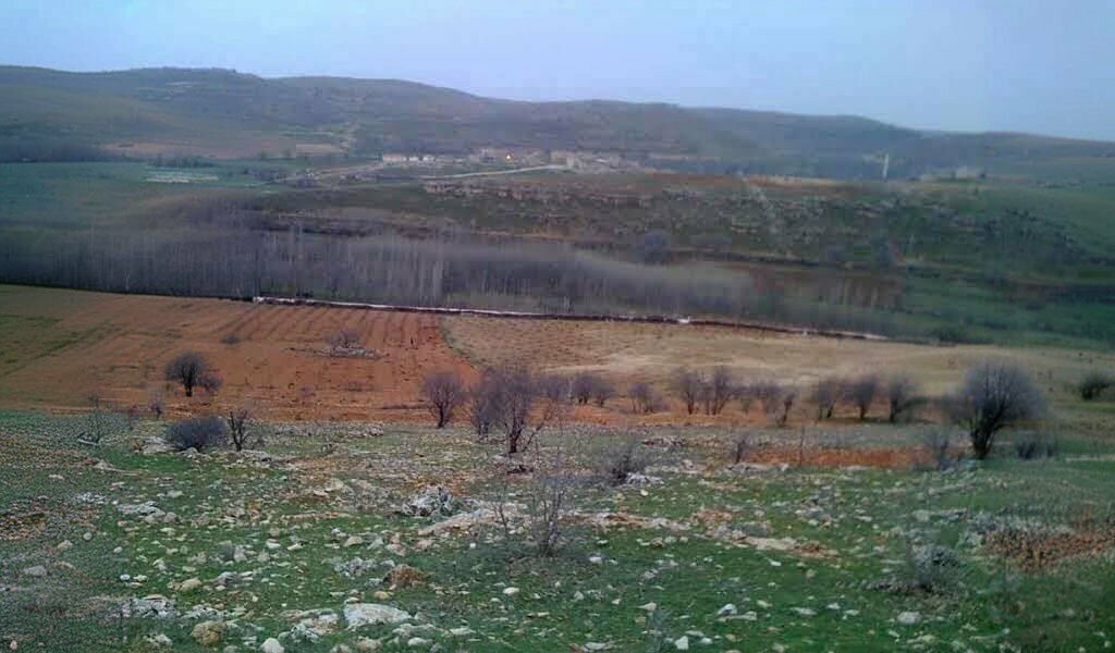 Primary school Yesil Alan Ilkogretim Okulu, Savur, photo