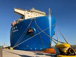 Serhend Foreign Trade (İstanbul, Esenler, Oruçreis Mah., Giyimkent 19. Sok., 94A) ، مشاريع صناعية