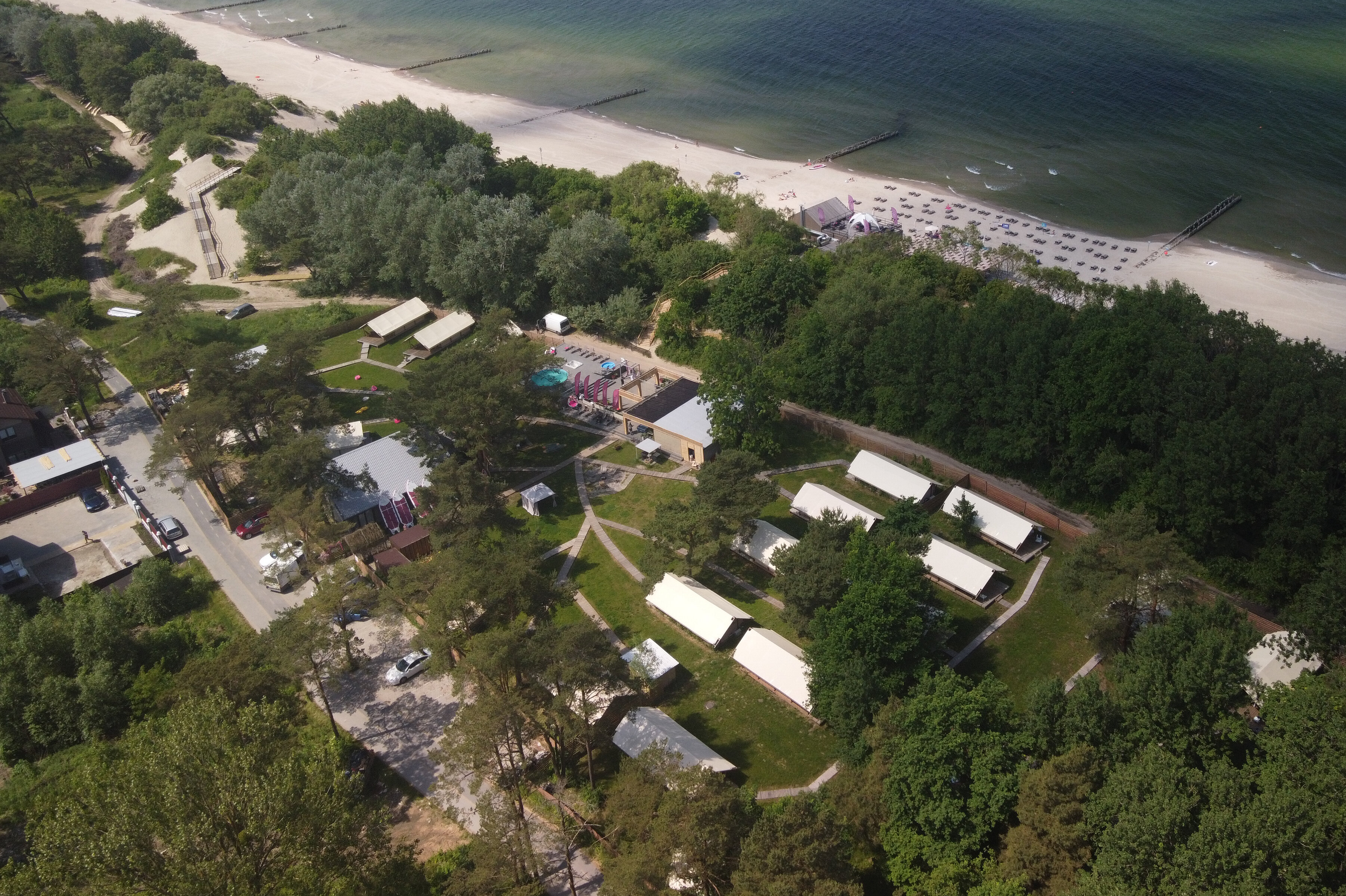 Фото Малина