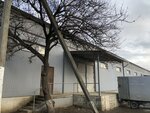 КартонТара-Юг (Evdokii Bershanskoy Street, 359) ، مواد تعبئة وتغليف