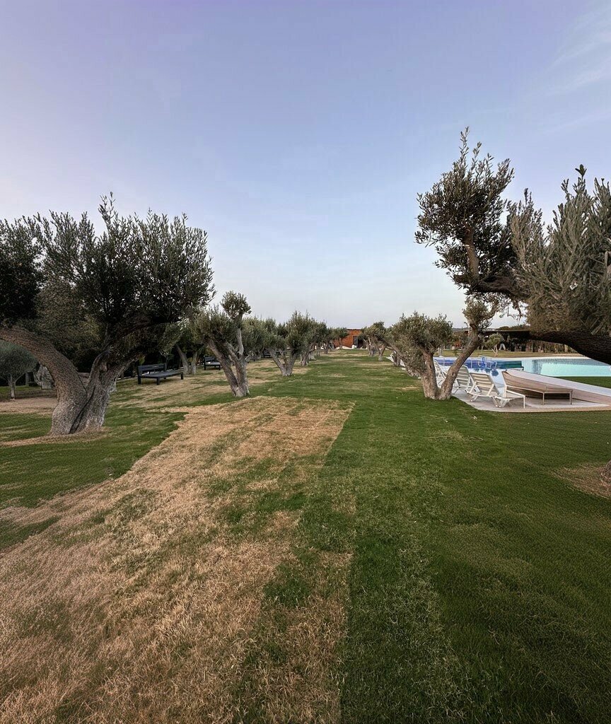 Memorial site, local landmark Flu Alacati Tiny House Hotel, Cesme, photo