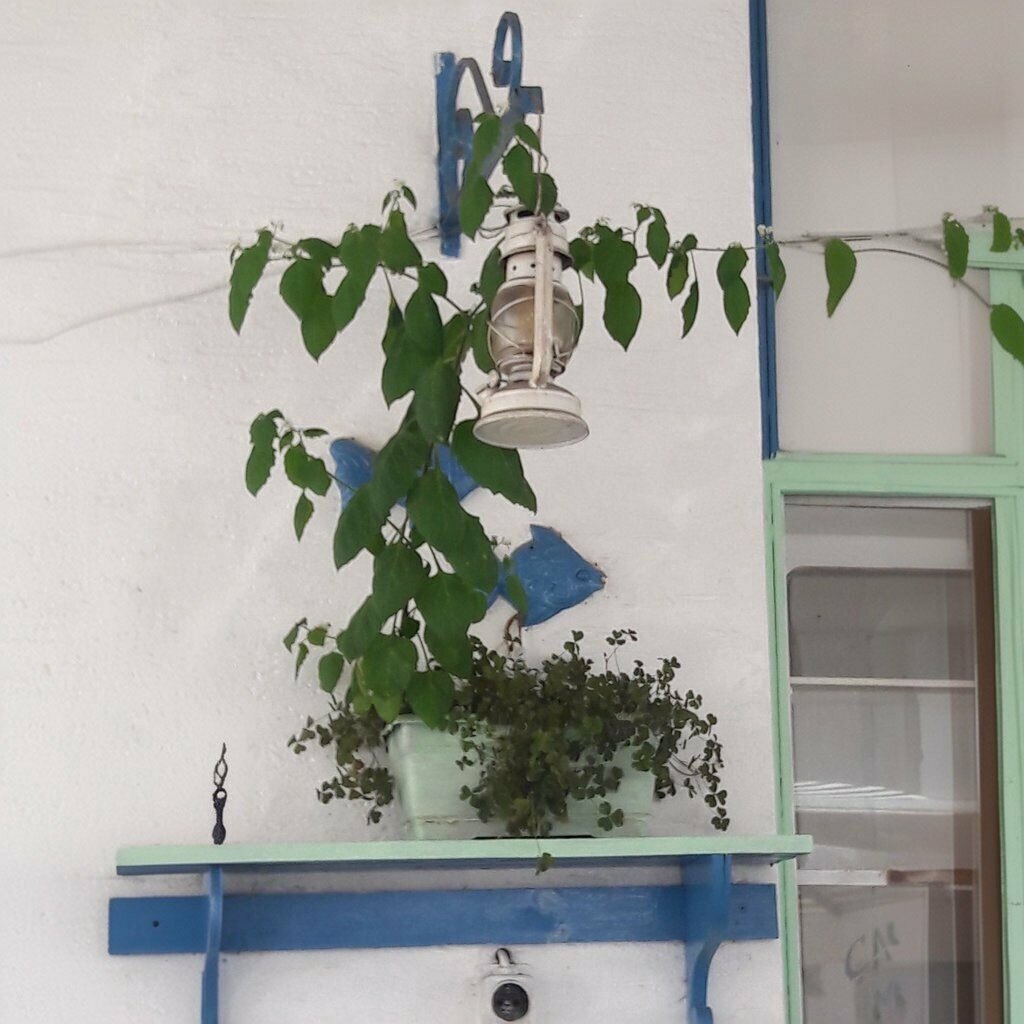 Cafe Caymay, Bartin, photo