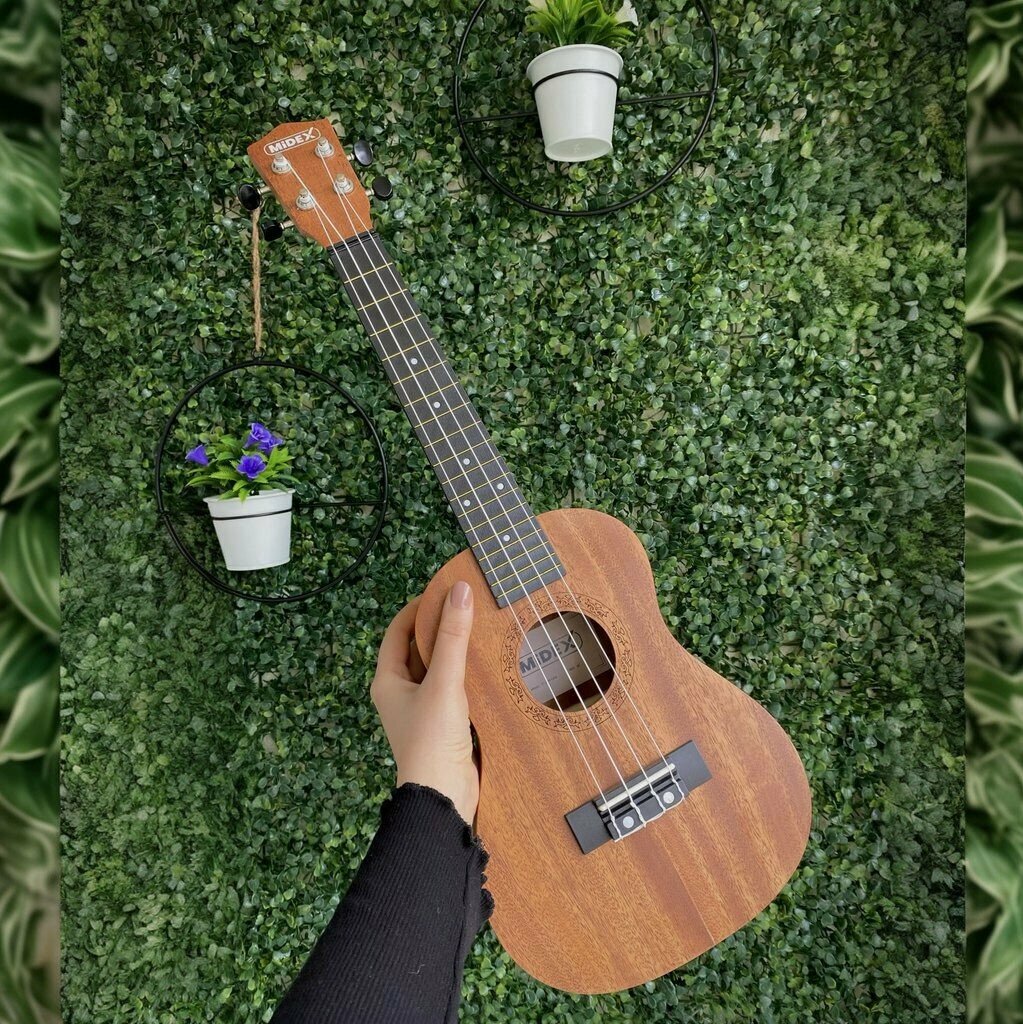 Music school Balım Müzik Safranbolu, Safranbolu, photo