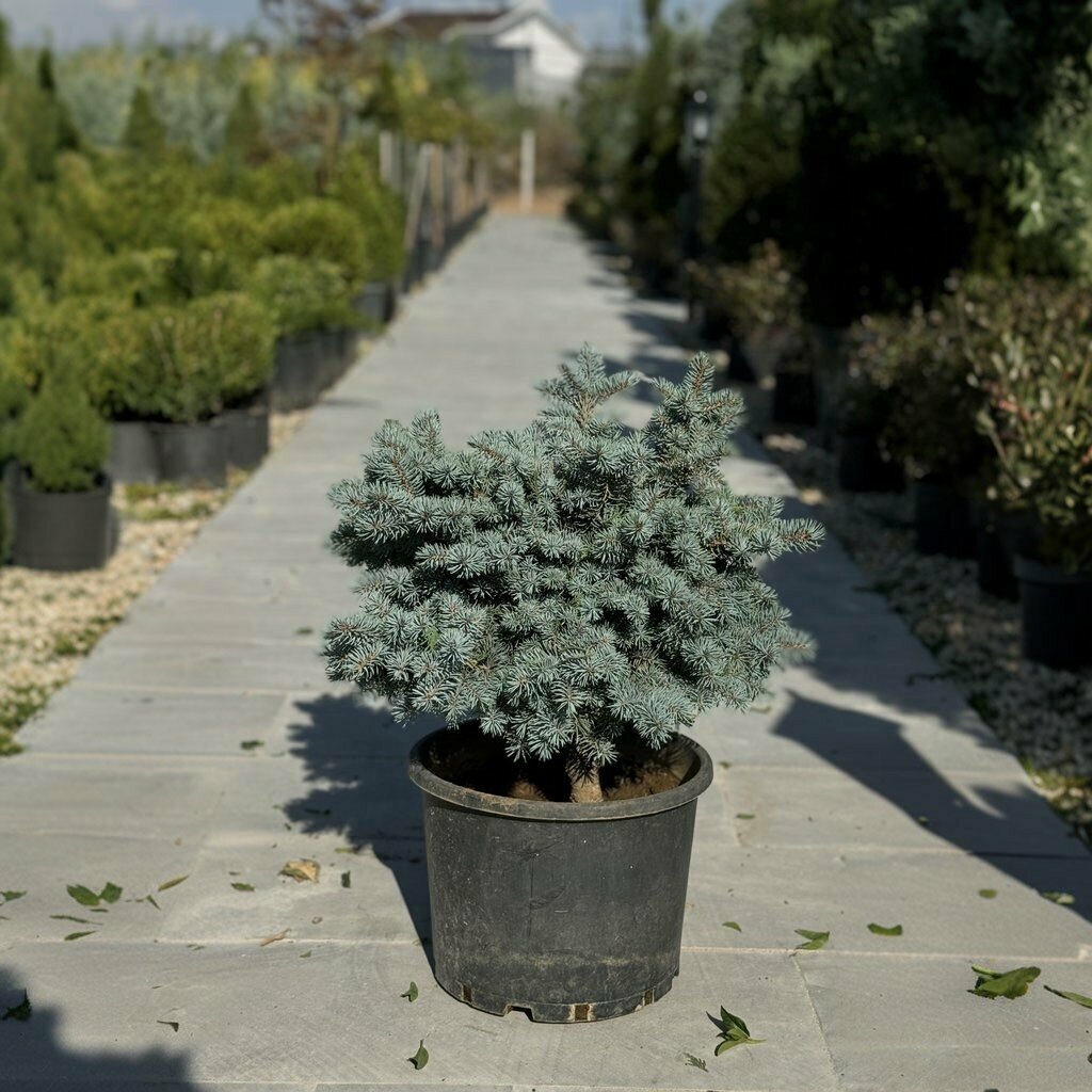 Landscape design Eksen Landscape Architecture, Ankara, photo