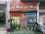 Sema Petshop (İzmir, Konak, Alsancak Mah., 1456 Sok., 62B), pet shop