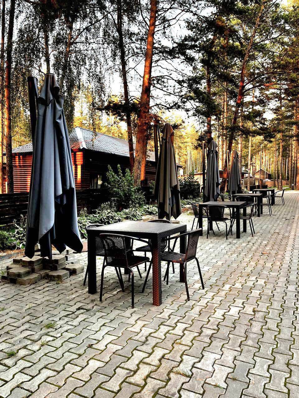 Фото Светофор