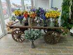 Klumba (Ilicha Avenue, 55А), flower shop