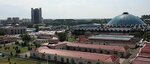 Эски Жува Бозори (Yangihayot District, Citizen assemblies of Olchazor Mahallah, Yangi Sergeli ko‘chasi, 3), farmers' market