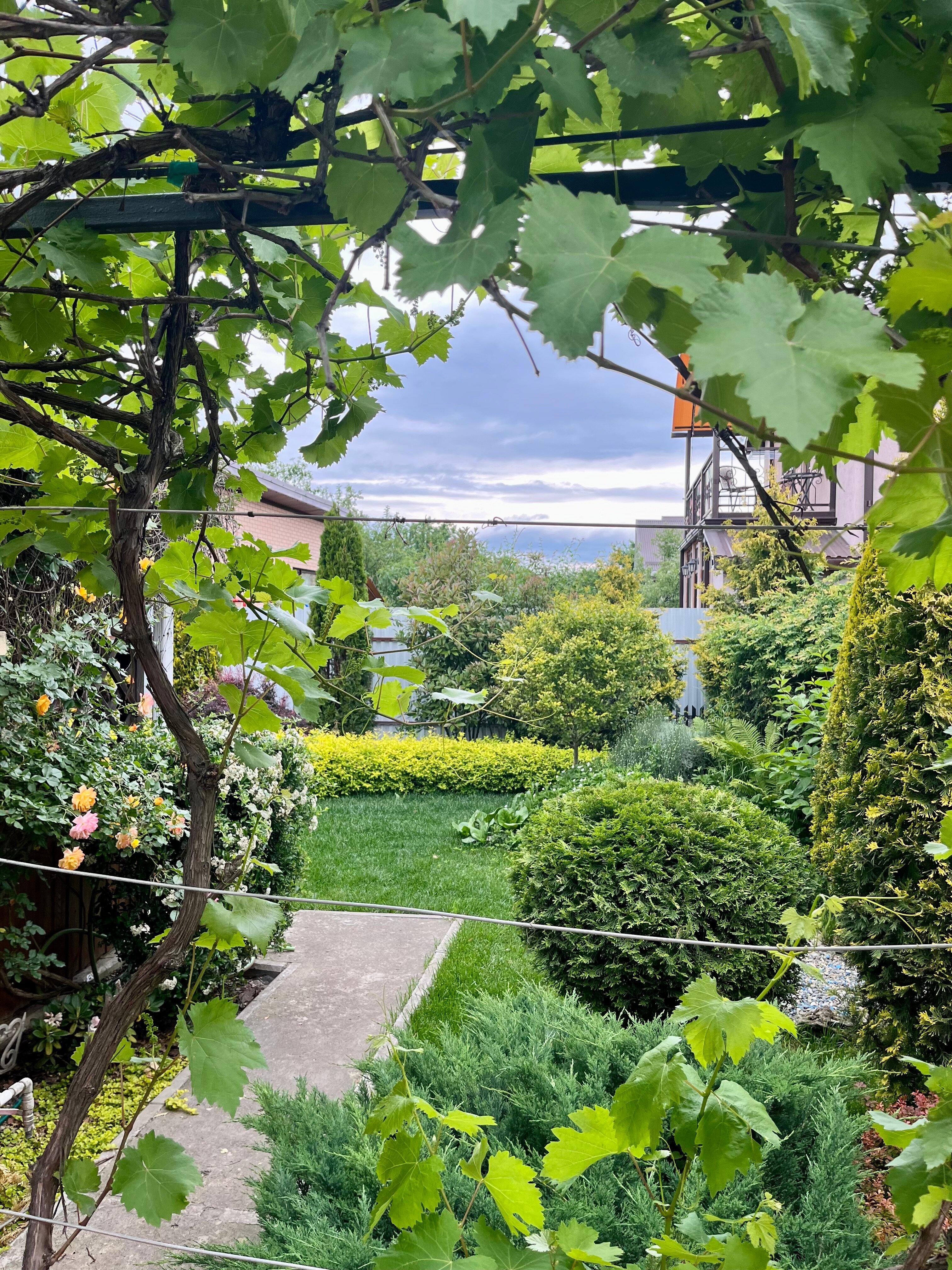 Фото Ремарка