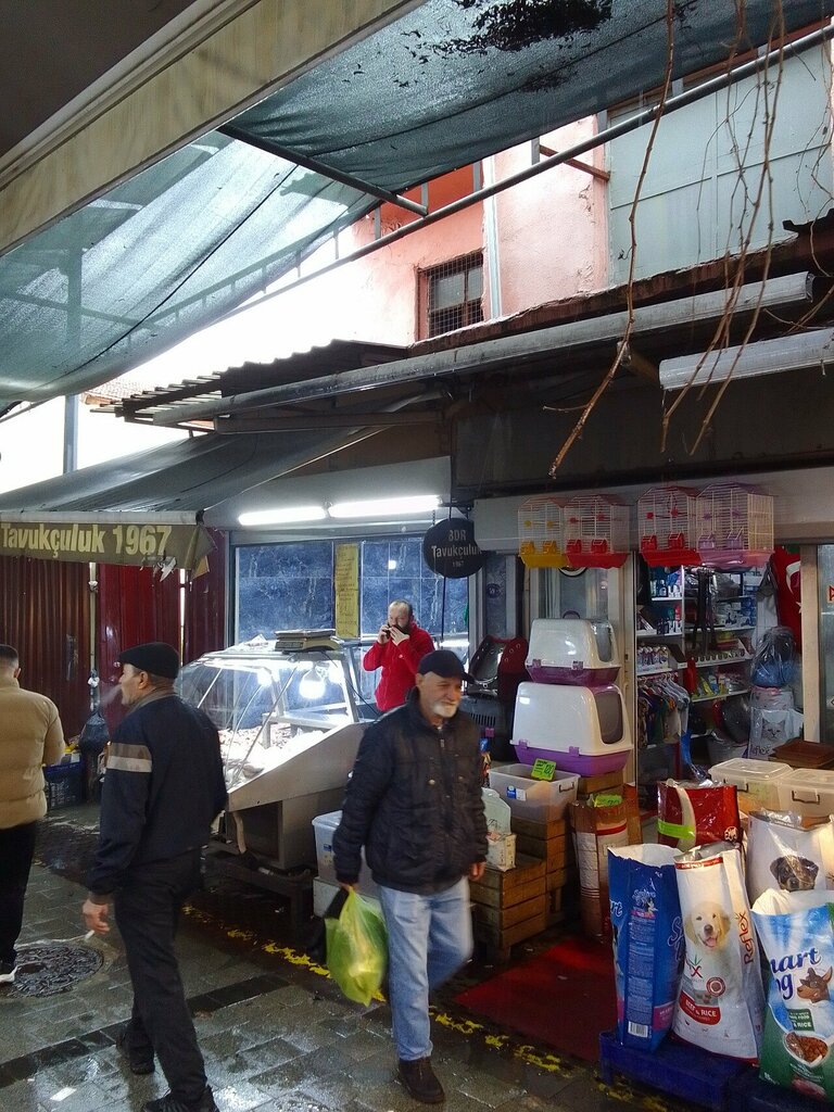 Butcher shop Bdr Poultry, Izmir, photo