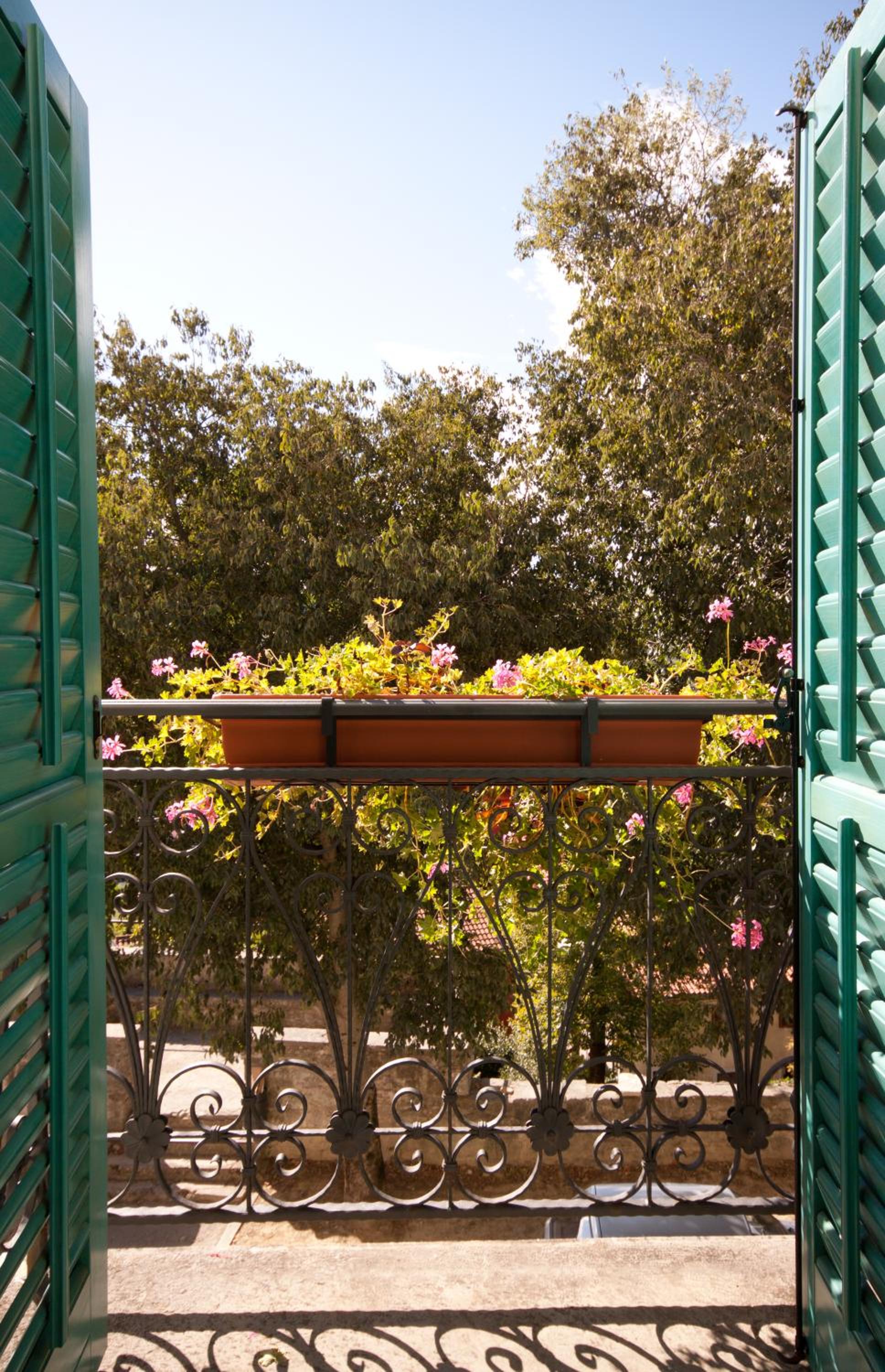 Фото Вела Врата