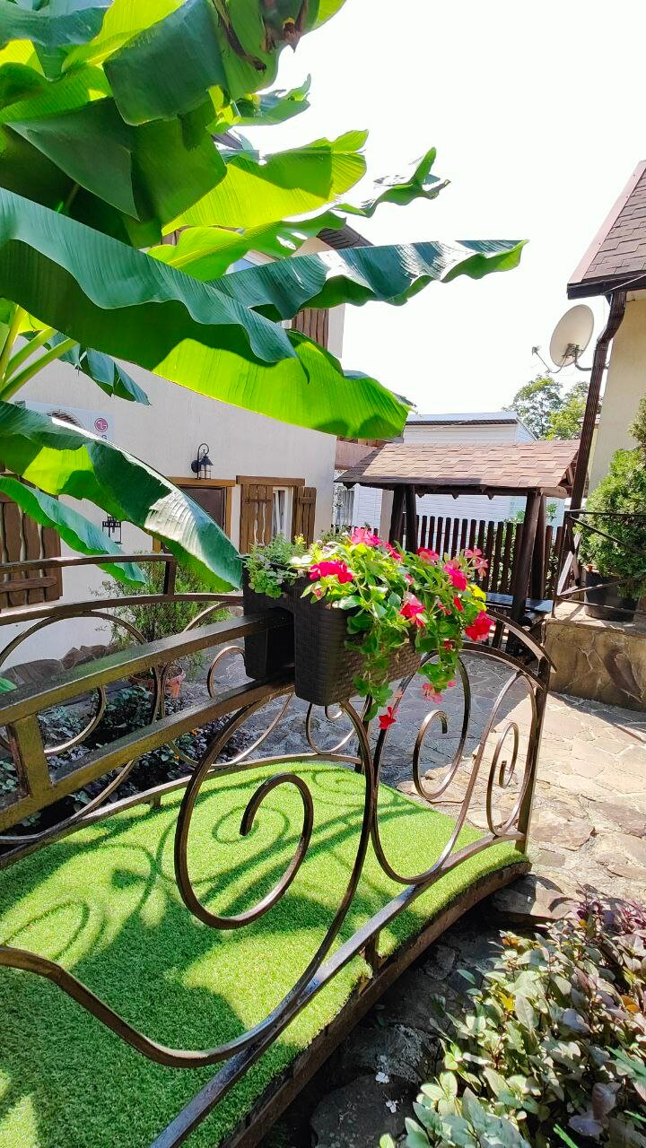 Фото Инфанта