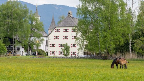 Гостиница Schloss Prielau