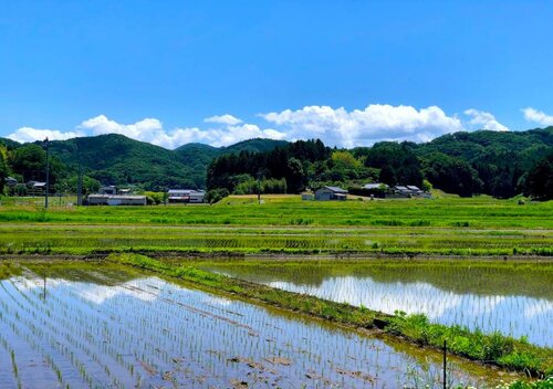 Гостиница Mashikokan Satoyama Resort Hotel