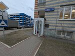 Greatsteve (Novaya ulitsa, 9), phone repair