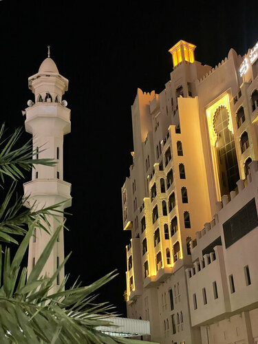 Гостиница Bahi Ajman Palace Hotel в Аджмане