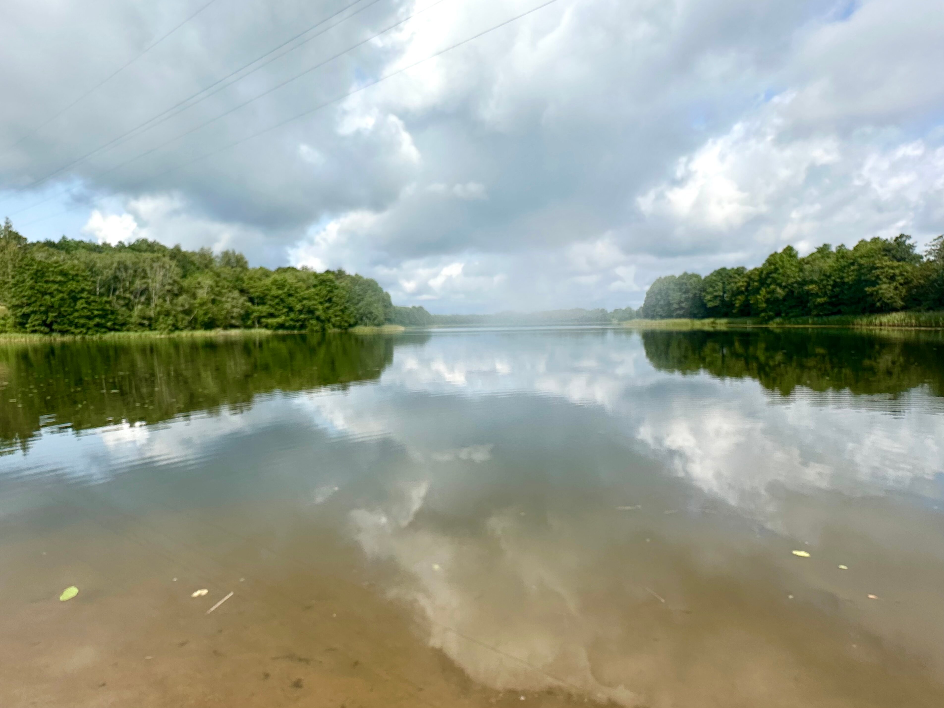 Фото Лесная гавань