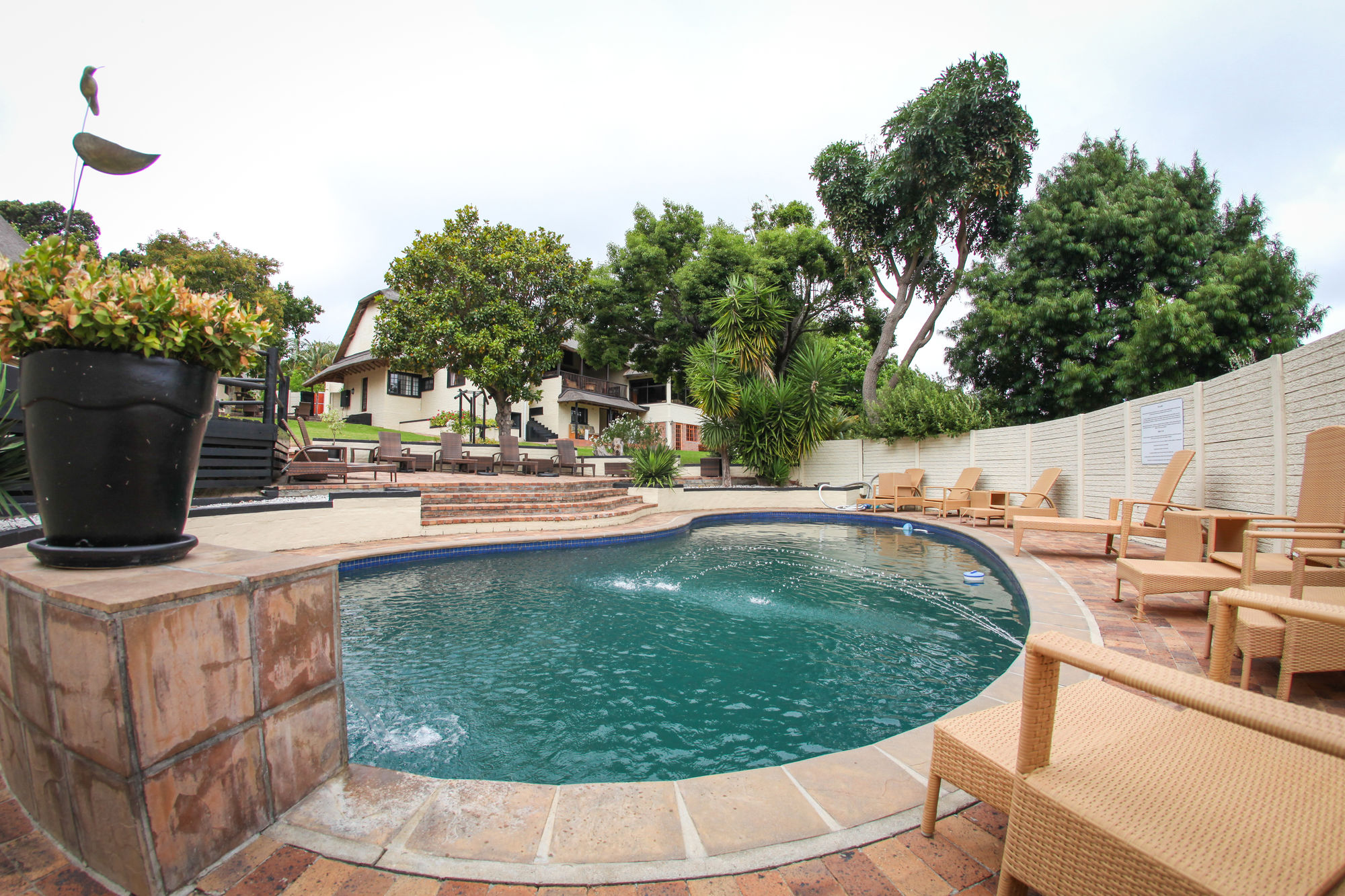 Фото Winelands Villa Guesthouse