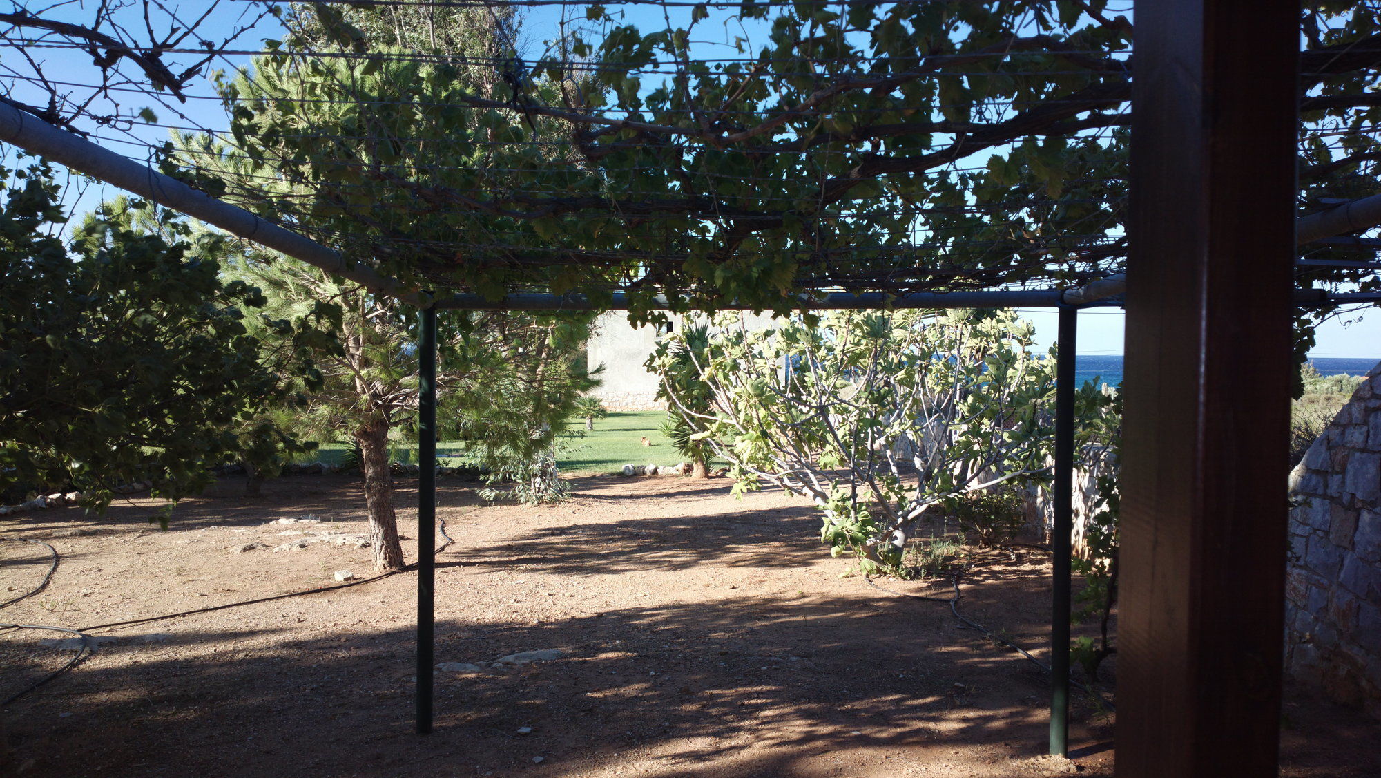 Фото Kallicrates Village