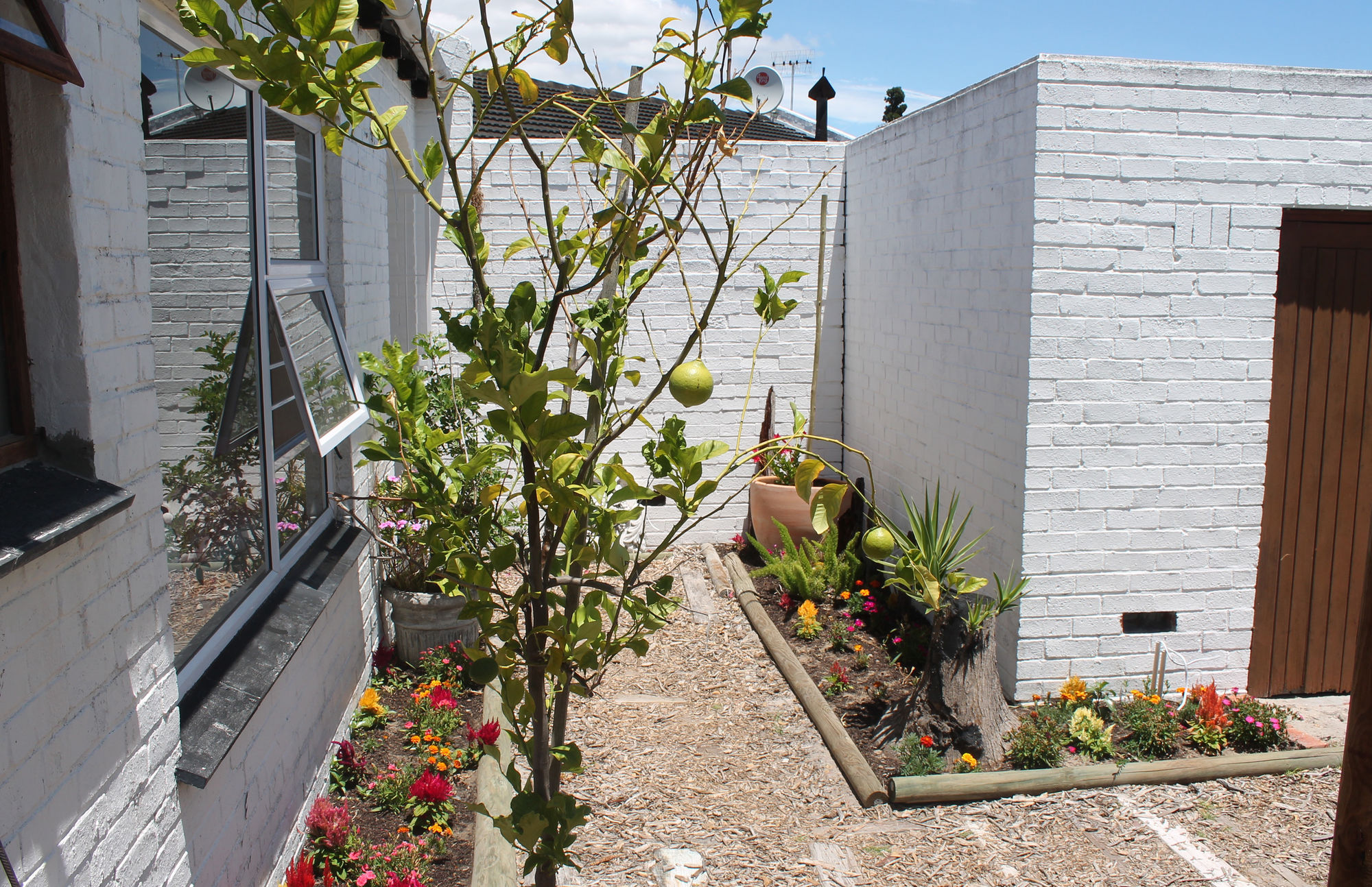 Фото Goblin's Mead