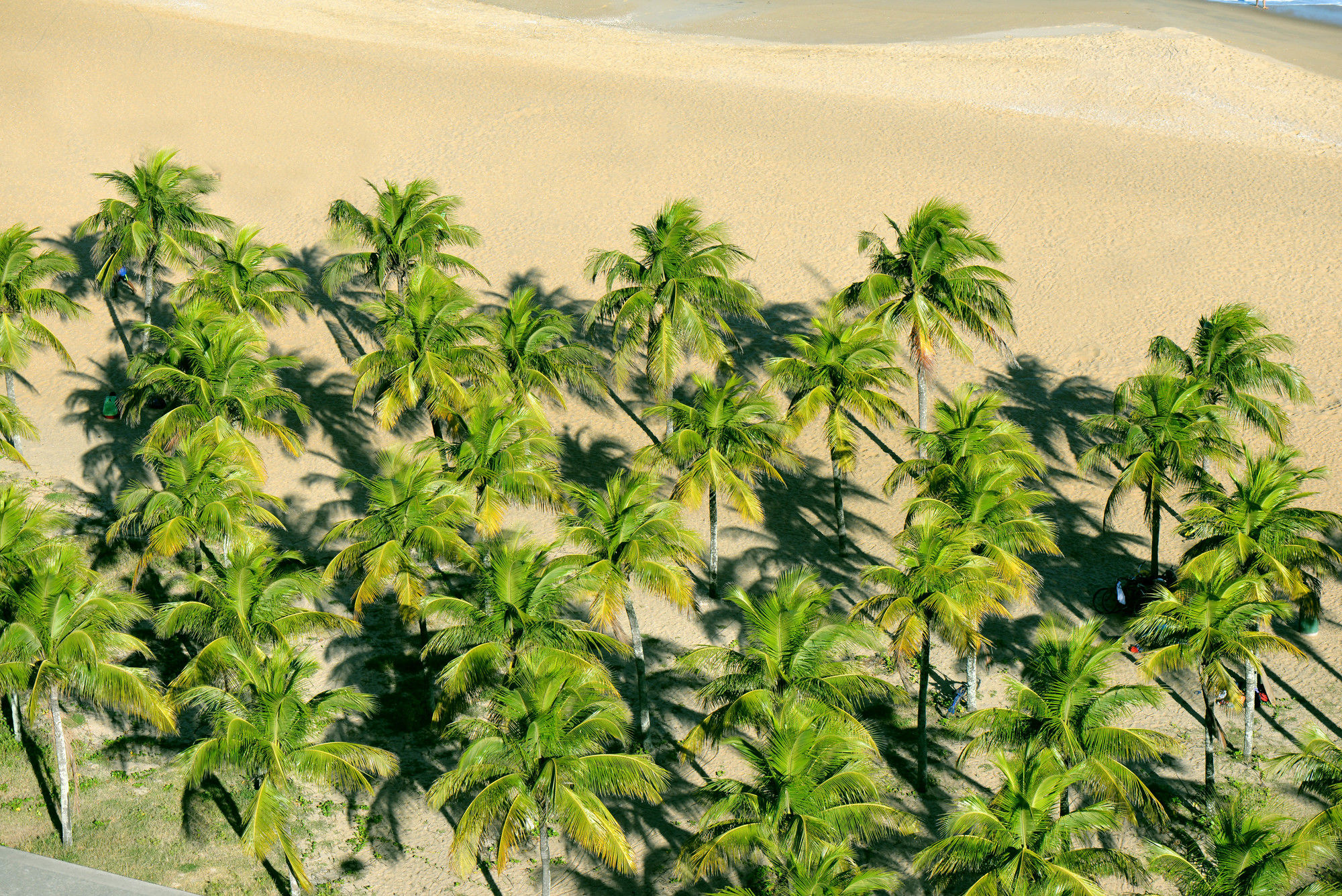 Фото Slaviero Vitória