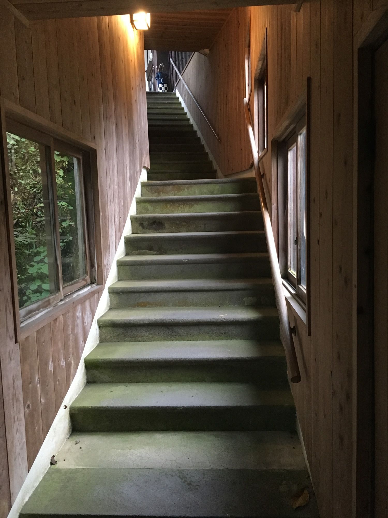 Фото Hakone Kowakien Mikawaya Ryokan