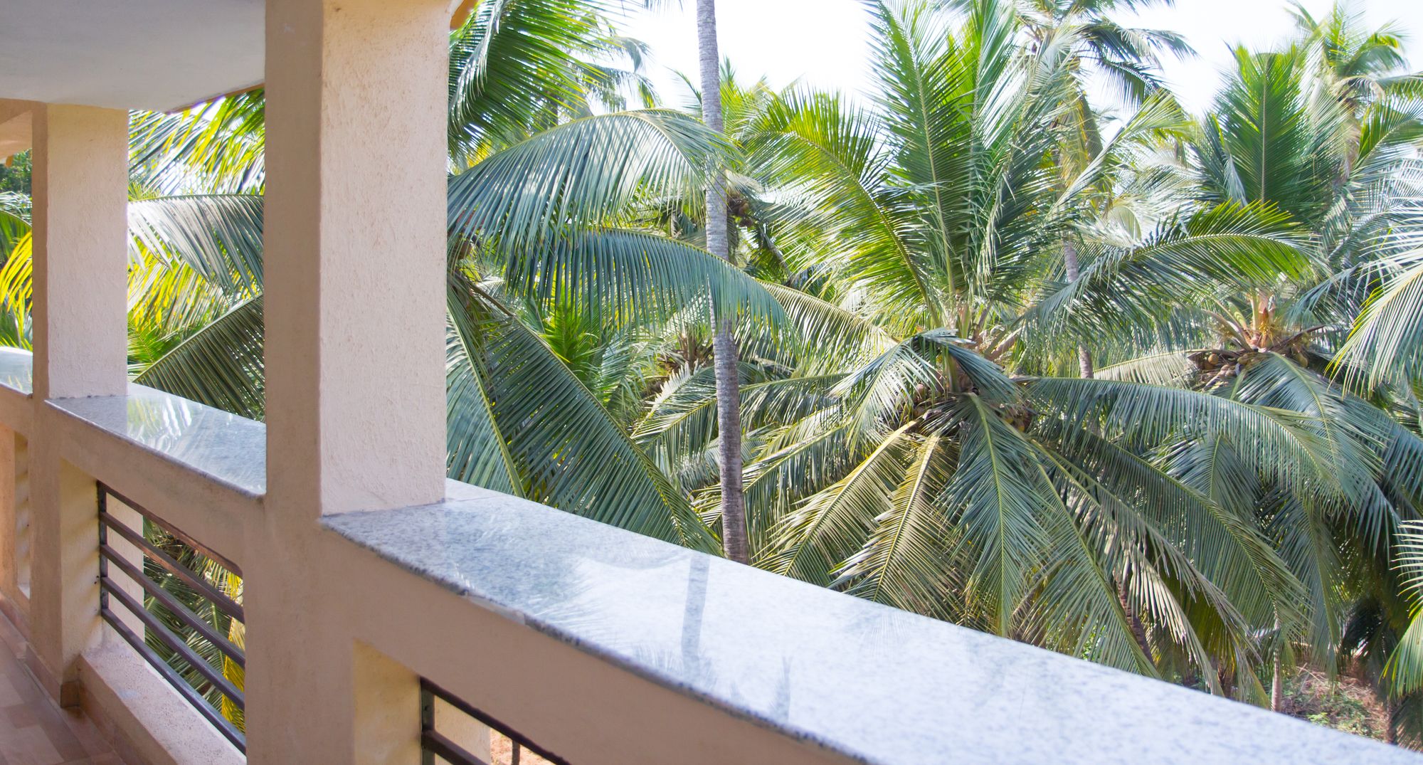 Фото Aqua de Goa