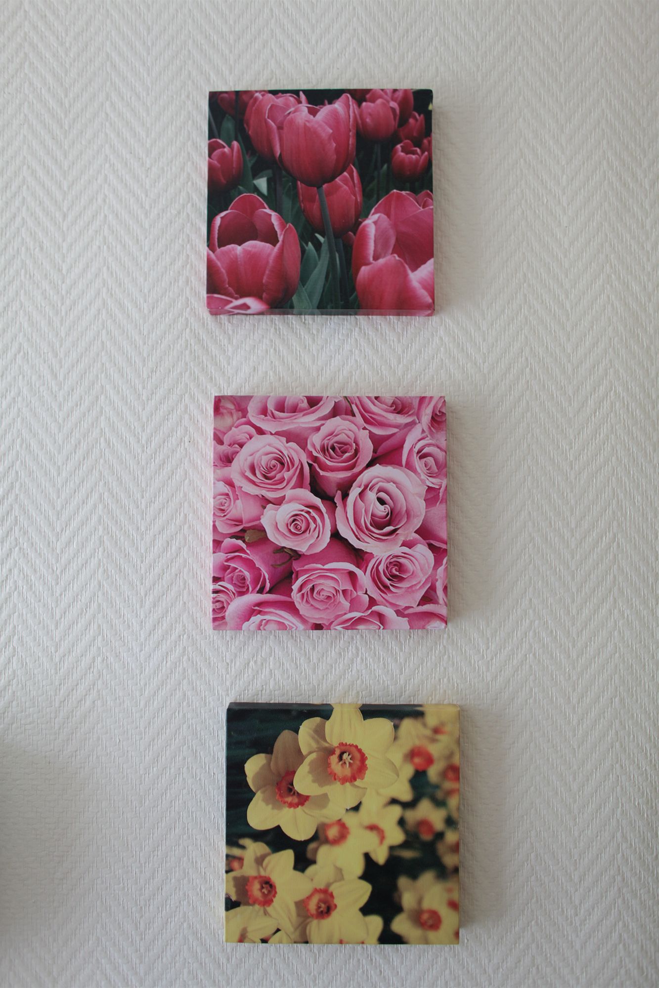 Фото Weber Hotel