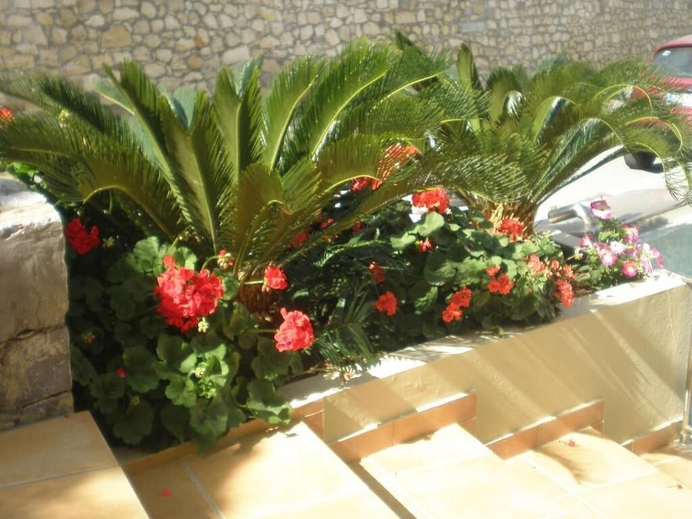 Фото Scala Hotel Apartments