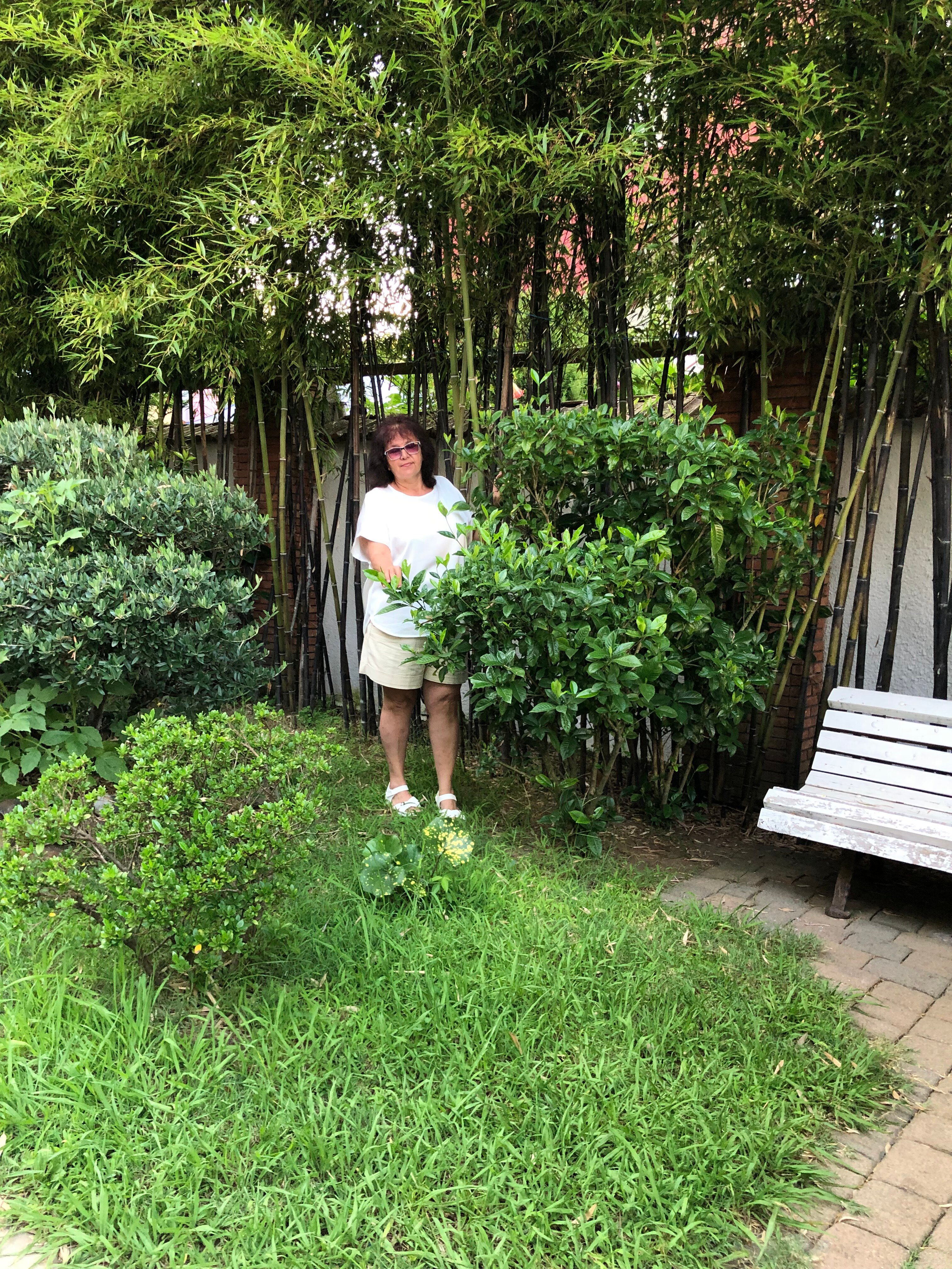 Фото Hotel Chero