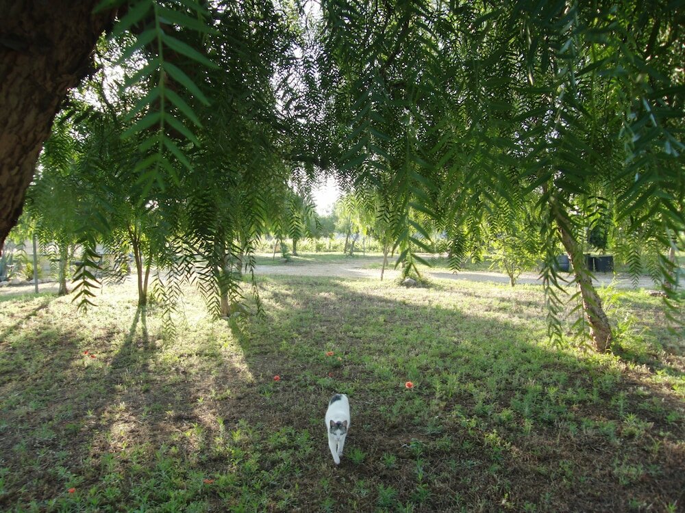 Фото Camping Lilybeo Village