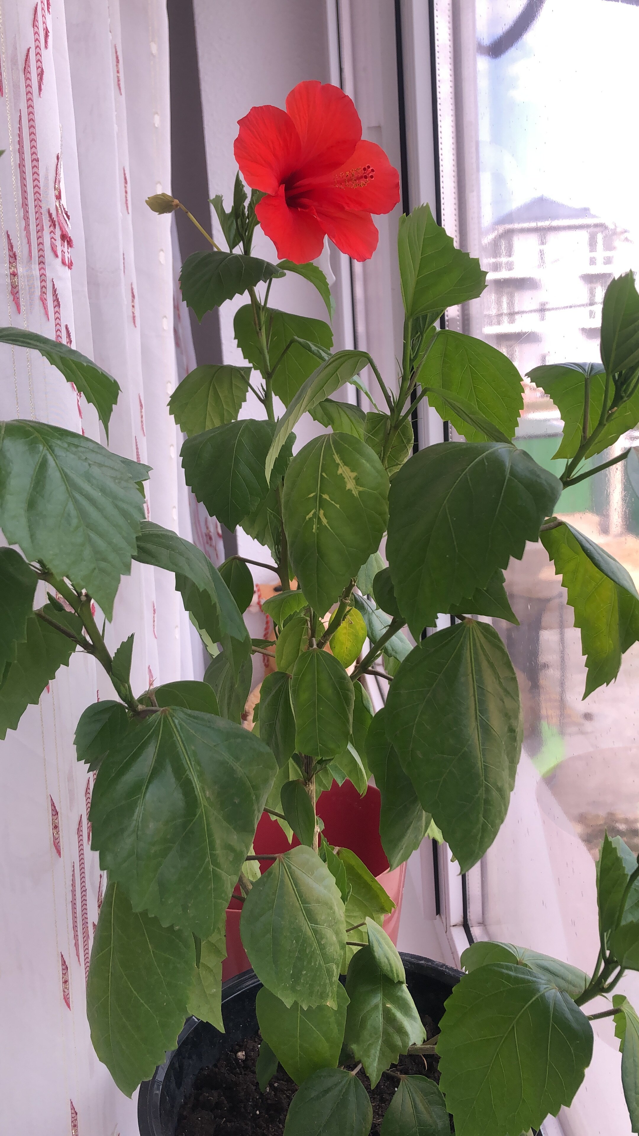 Фото Машенька