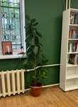 Ficus (Kosmonavta Leonova Street, 8), tutoring