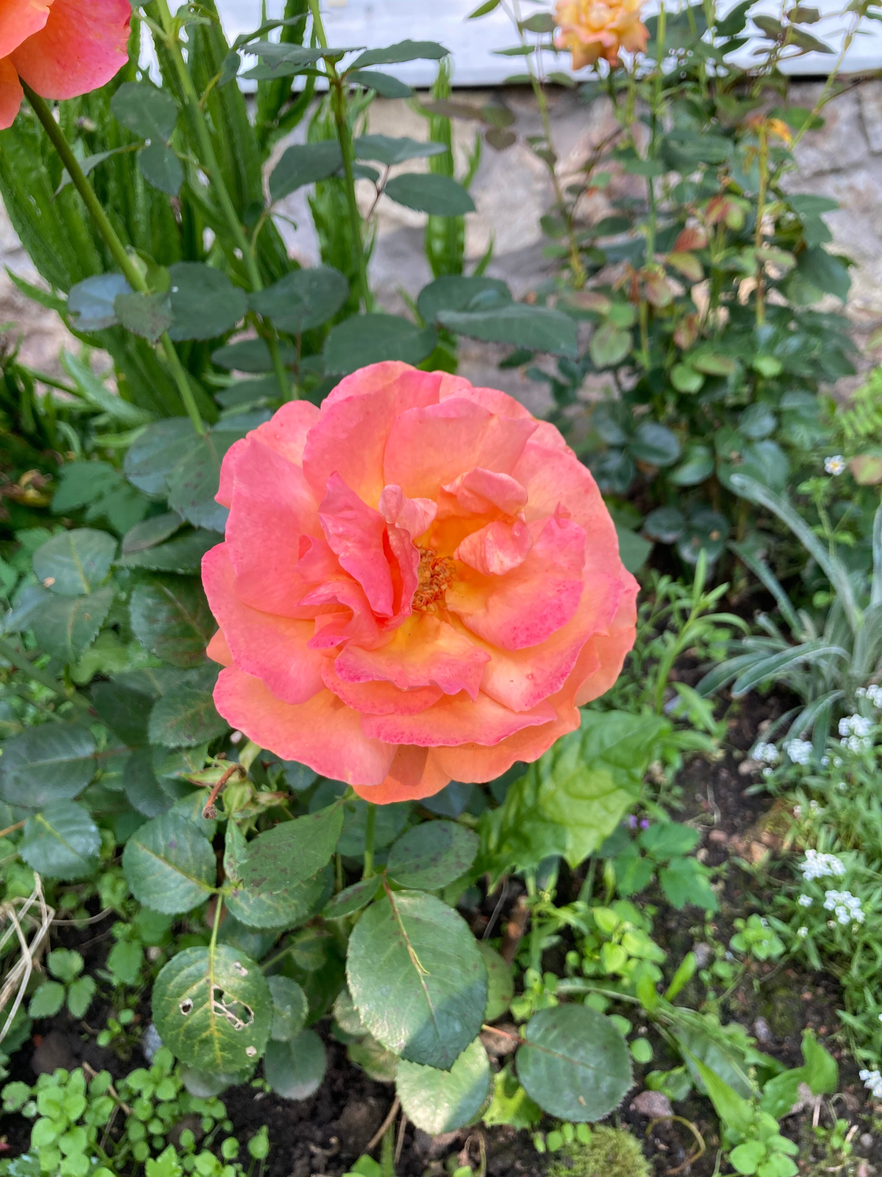 Фото Отель-коттедж Ф&Ф