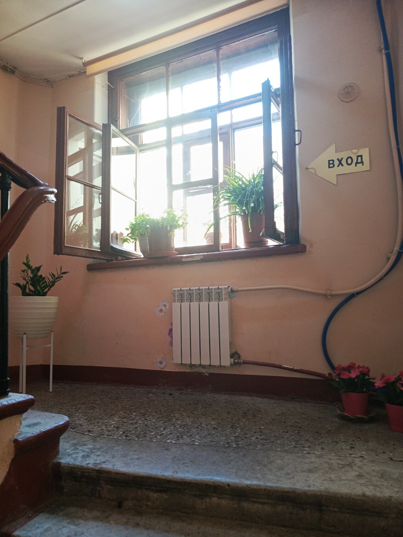 Фото Дом Ван дер Флита