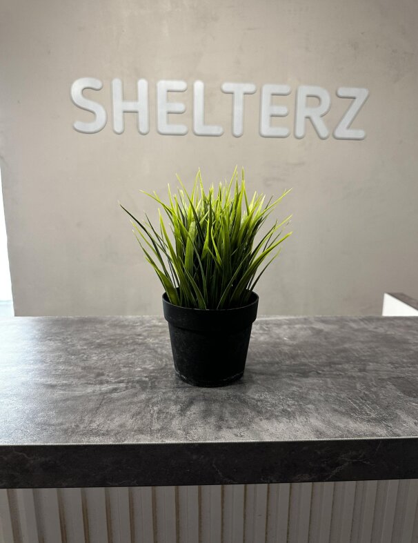 Фото Shelterz Три вокзала