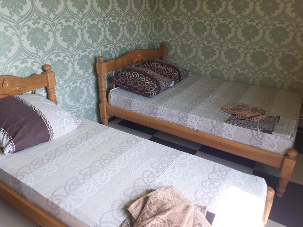 Фото Барракуда