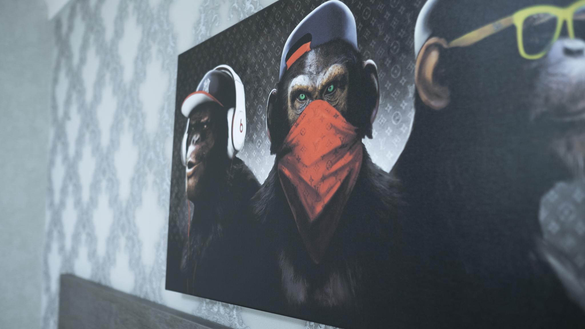 Фото Форест