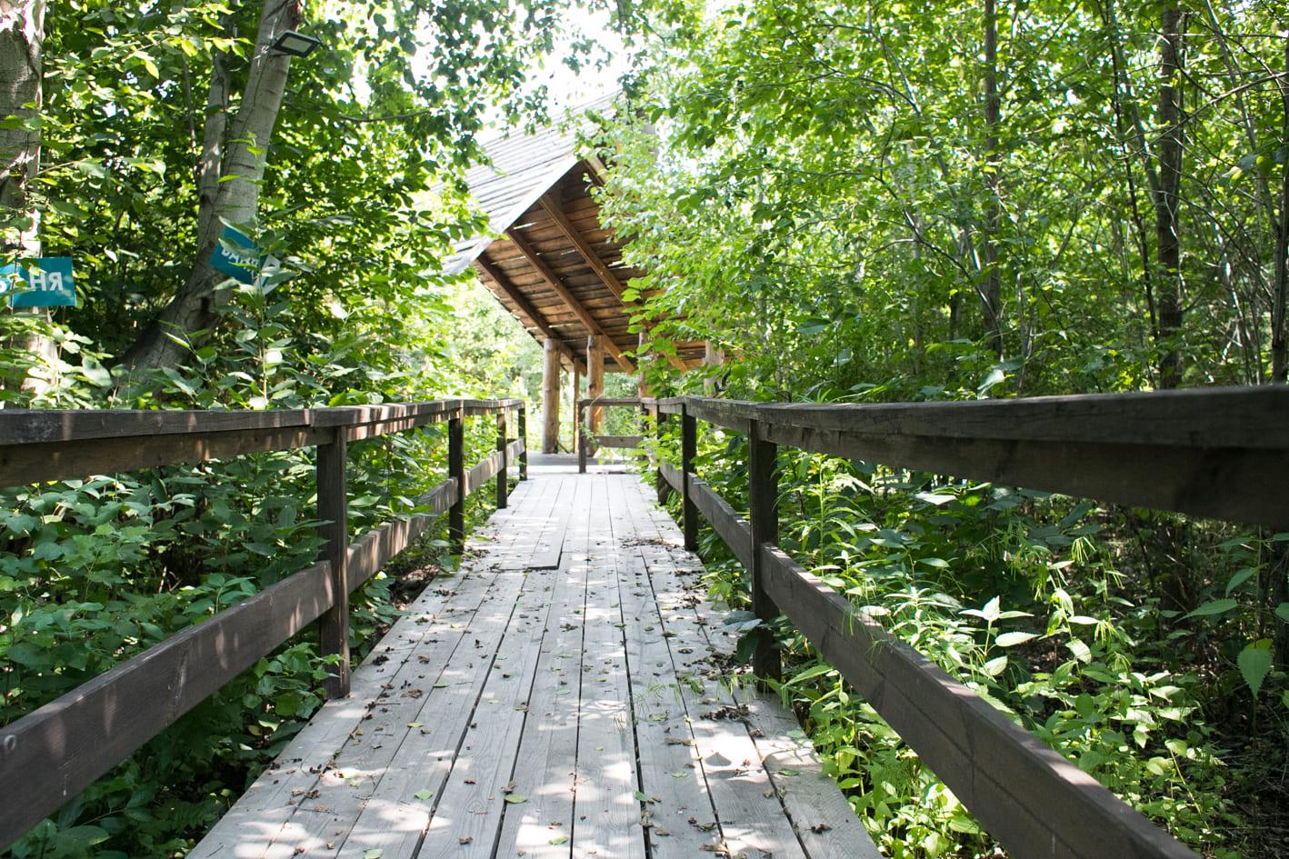 Фото Аракуль